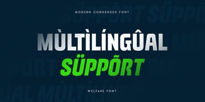 Welfare Font Poster 11