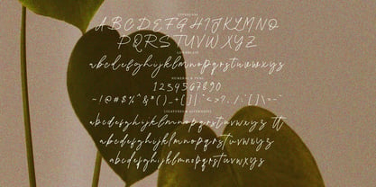 Fasebia Signature Font Poster 7