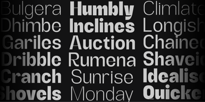 Alerio Font Poster 15