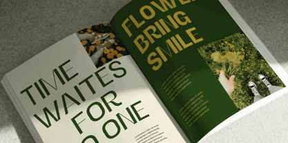 Alerio Font Poster 4