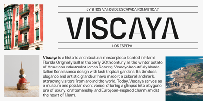 Alerio Font Poster 5