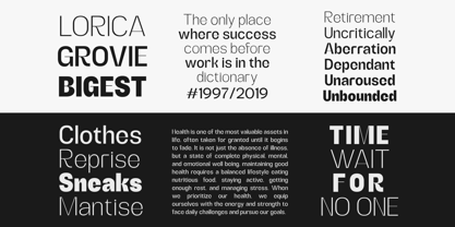 Alerio Font Poster 9