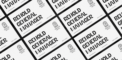 Alerio Font Poster 11