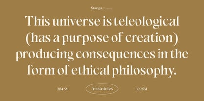 Game & Reality Font Poster 11