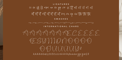 Amberony Font Poster 8