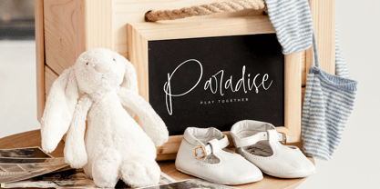 Amberony Font Poster 5