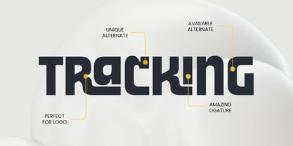 Rector Font Poster 8