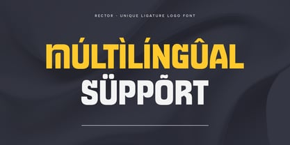 Rector Font Poster 13