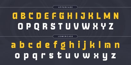 Rector Font Poster 9