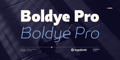 Boldye Pro Font Poster 1
