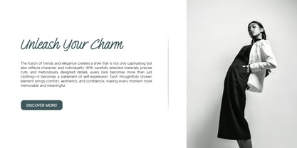 Pillucia Font Poster 3