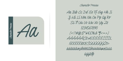 Pillucia Font Poster 7