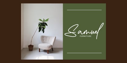 Damione Signature Font Poster 5