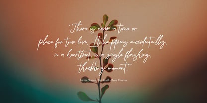 Damione Signature Font Poster 3