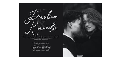 Damione Signature Font Poster 8
