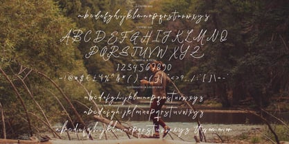 Damione Signature Font Poster 4