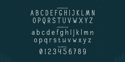 Snowie Font Poster 2