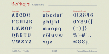 Berkara Font Poster 9
