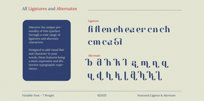 Berkara Font Poster 8