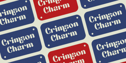 Berkara Font Poster 4