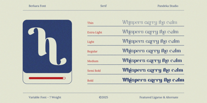 Berkara Font Poster 2