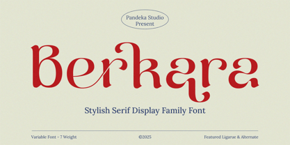 Berkara Font Poster 1