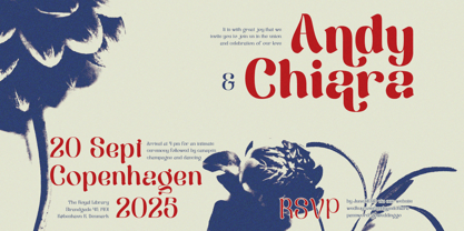 Berkara Font Poster 6