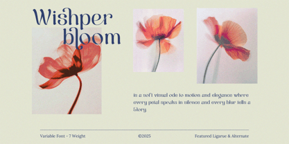 Berkara Font Poster 3