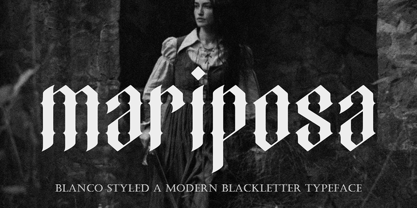 Blanco Styled Font Poster 8