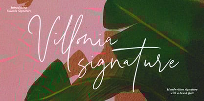 Villonia Signature Font Poster 1