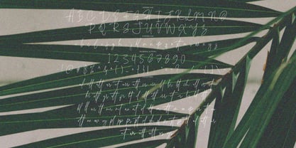 Villonia Signature Font Poster 7