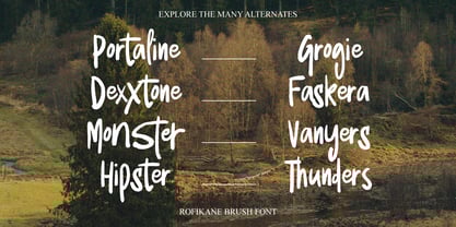 Rofikane Brush Font Poster 4
