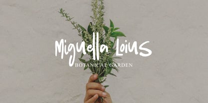 Rofikane Brush Font Poster 10