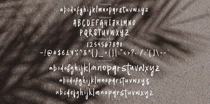 Rofikane Brush Font Poster 9