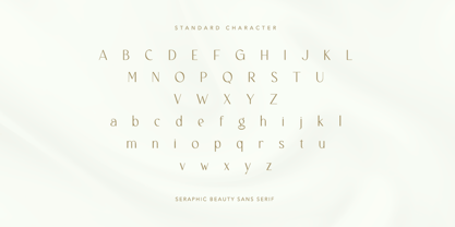 Seraphic Font Poster 9