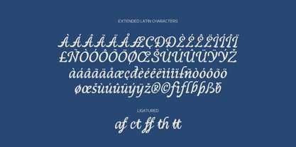 Rosheya Font Poster 13