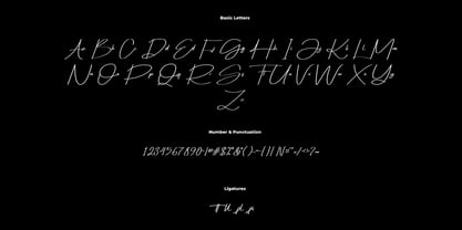 Honofly Font Poster 6