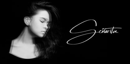 Honofly Font Poster 5