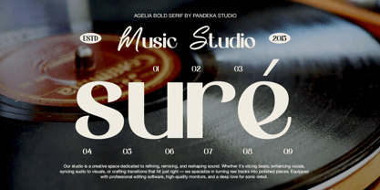 Agelia Font Poster 6