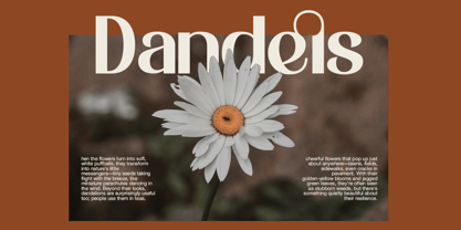 Agelia Font Poster 5