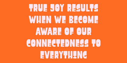 DT Risya Font Poster 7