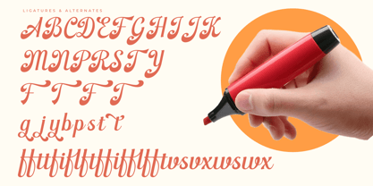 Nightalls Delight Font Poster 15