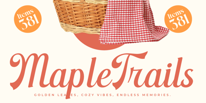 Nightalls Delight Font Poster 4