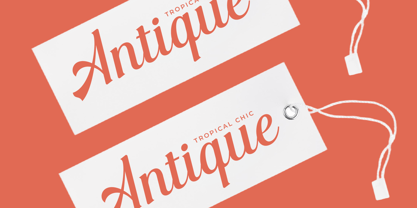 Nightalls Delight Font Poster 13