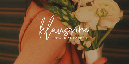 Lisasha Signature Font Poster 7