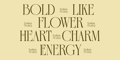 Exago Maona Font Poster 8