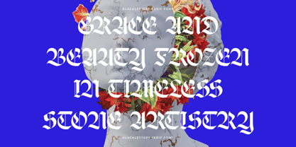 Wilfred Knights Font Poster 10