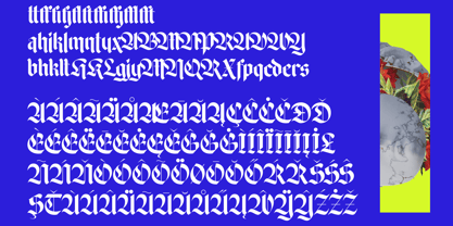 Wilfred Knights Font Poster 15