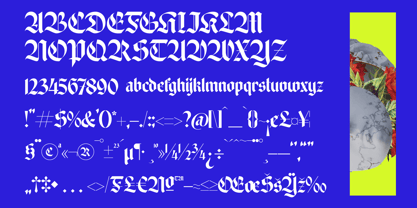 Wilfred Knights Font Poster 14