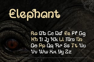 Aunthara Font Poster 3